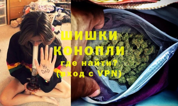 индика Абдулино