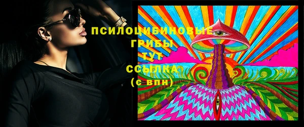 индика Абдулино