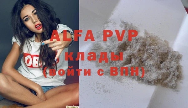 гидра Алзамай