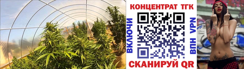 Дистиллят ТГК вейп  как найти   Прохладный 